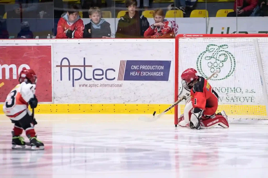 Brankář HC Orli Znojmo v akci před brankou během utkání